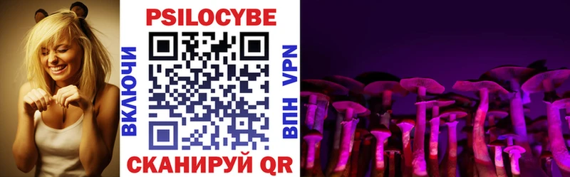 Псилоцибиновые грибы Cubensis  купить наркотики сайты  дарк нет состав  Родники 